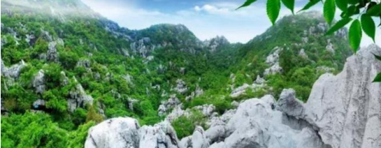 政府委托招商合作丨全力助推浙江衢州常山縣傳統(tǒng)產業(yè)加快升級，新興產業(yè)異軍突起