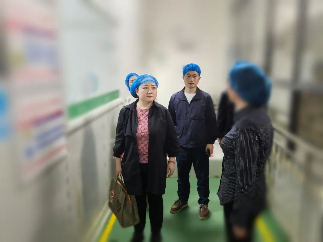 專(zhuān)精特新、高新技術(shù)企業(yè)！貴州某地方政府實(shí)地對(duì)接品牌農(nóng)副產(chǎn)品深加工投資選址項(xiàng)目